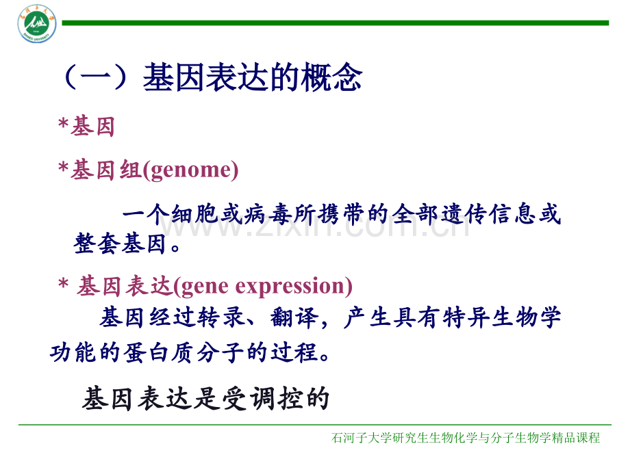 原核细胞基因表达调控机制.pptx_第3页