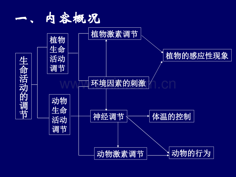 初中生物神经调节6.pptx_第3页