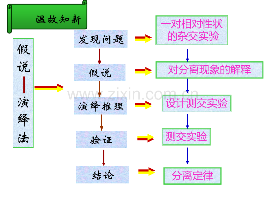 孟德尔的豌豆杂交实验二时.pptx_第2页