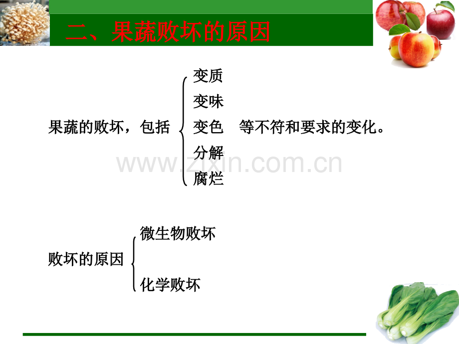 果蔬加工原理及原料预处理分析.pptx_第3页