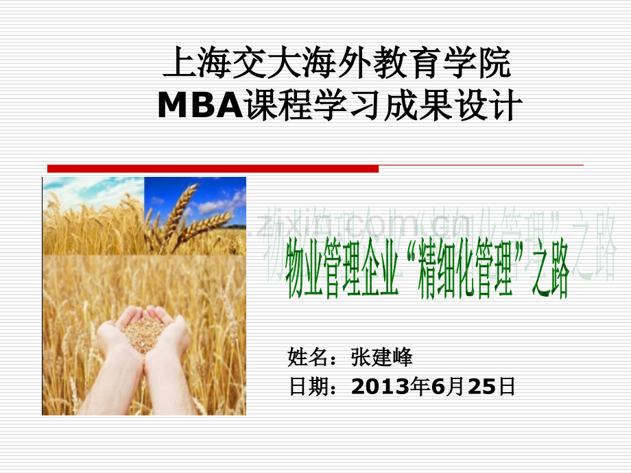 卓越经理MBA—中层管理者成长课程设计成果张建峰.pptx_第1页