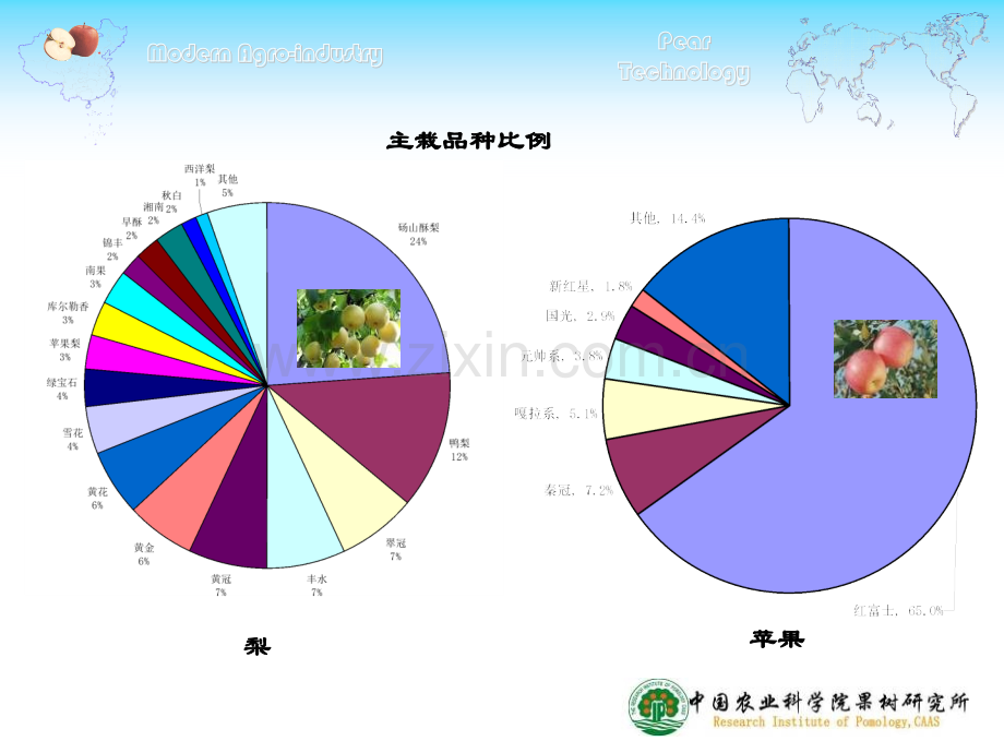 我国梨产业现状及贮运保鲜新技术.pptx_第3页