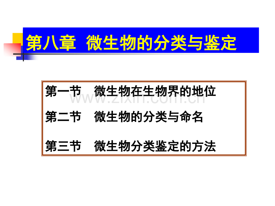 微生物的分类与鉴定修改.pptx_第1页