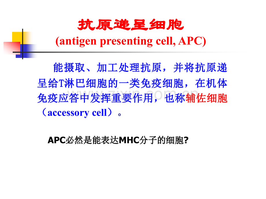 微免抗原递呈细胞和抗原递呈h微生物与免疫学.pptx_第3页