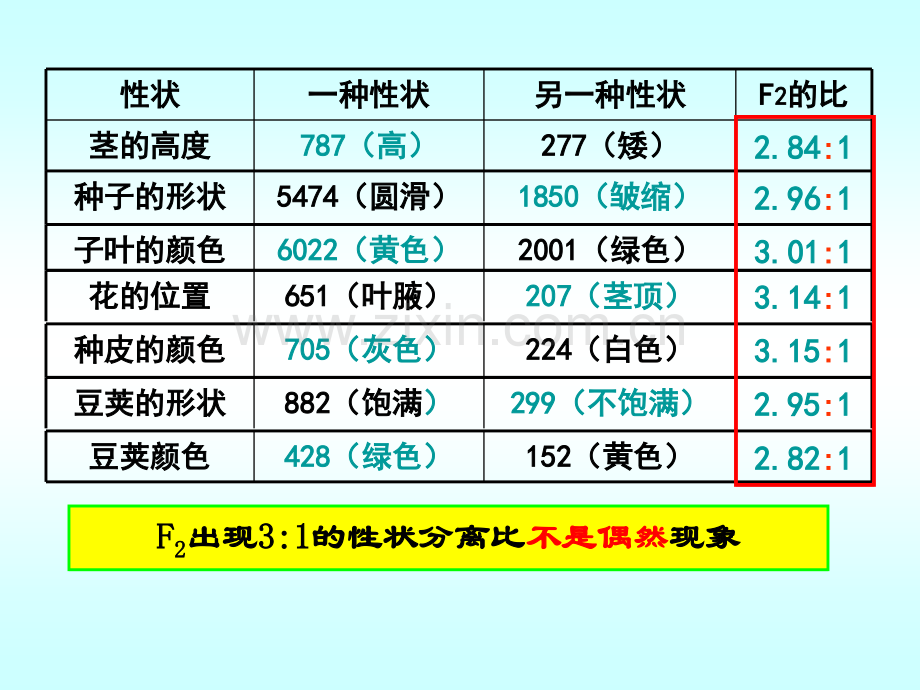 孟德尔豌豆杂交时时.pptx_第2页