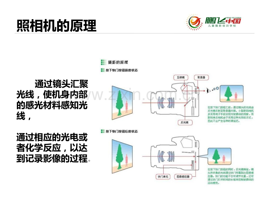 摄影器材配置及使用1数码相机.pptx_第2页