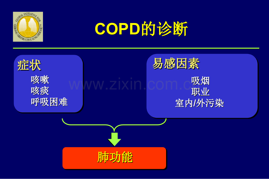 慢性阻塞性肺疾病的内科治疗.pptx_第3页