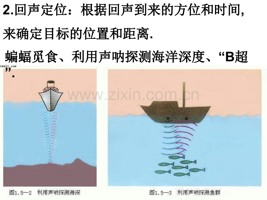 八年级物理声的利用.pptx_第2页