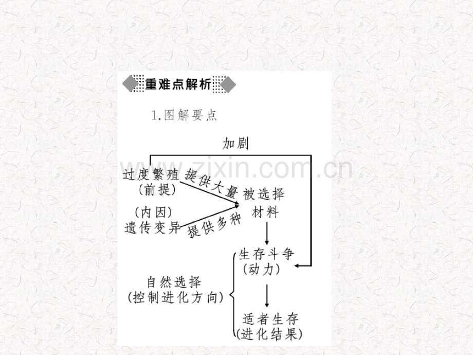 八年级生物下册人教版作业生物进化的原因剖析.pptx_第3页