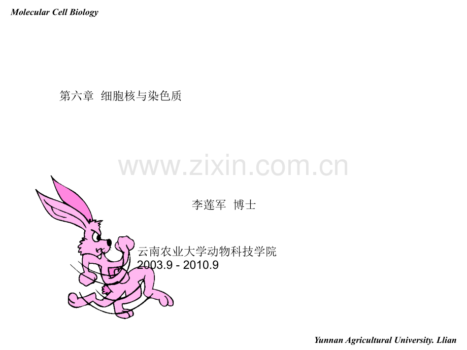 分子细胞生物学——细胞核与染色体.pptx_第1页