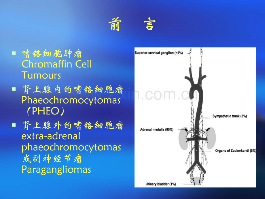 嗜铬细胞瘤的诊治进展.pptx_第1页