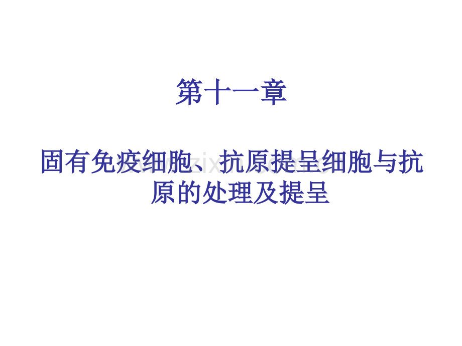 固有性免疫细胞抗原提呈细胞及抗原提呈.pptx_第2页