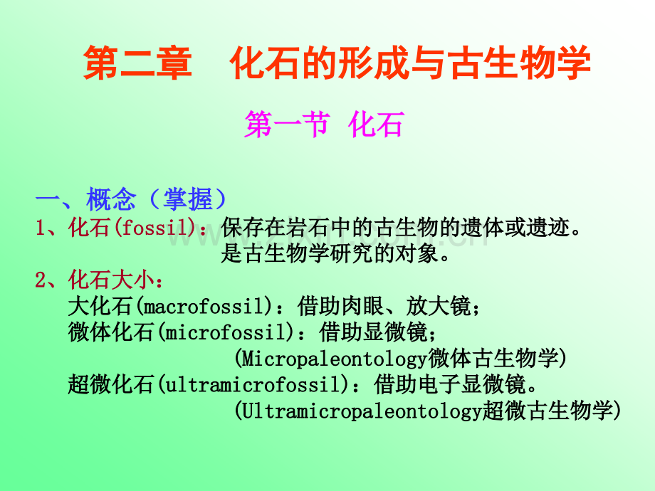 古生物地史学.pptx_第2页