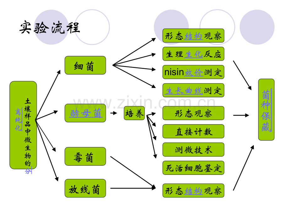 微生物学大实验终稿.pptx_第1页