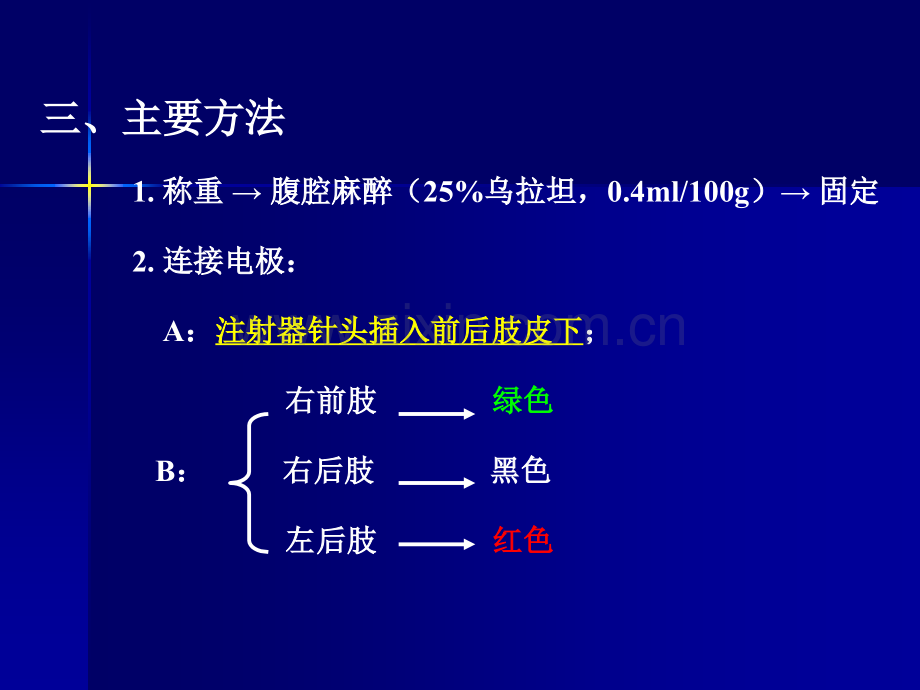 大鼠实验性高钾血症.pptx_第3页