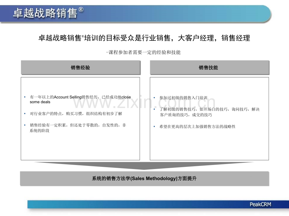 卓越战略销售.pptx_第3页