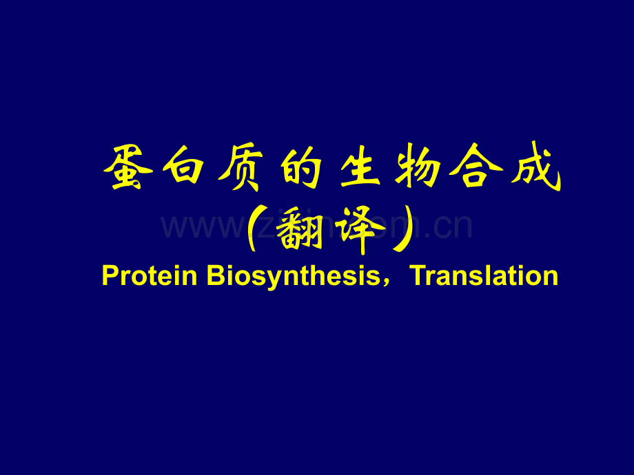 医学课程蛋白质生物合成.pptx_第1页