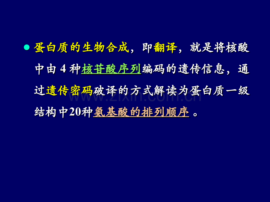 医学课程蛋白质生物合成.pptx_第2页