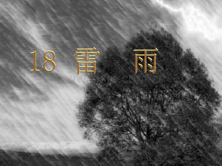 小学语文二年级下册1雷雨.pptx_第1页