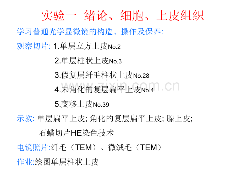 实验一显微镜使用及上皮组织.pptx_第1页