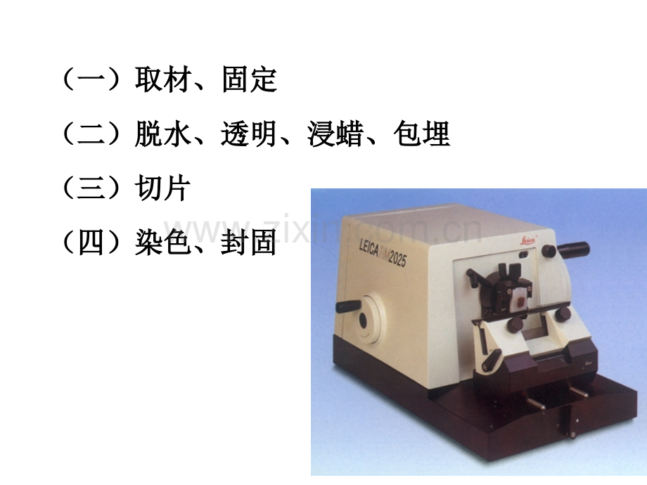 实验一显微镜使用及上皮组织.pptx_第3页