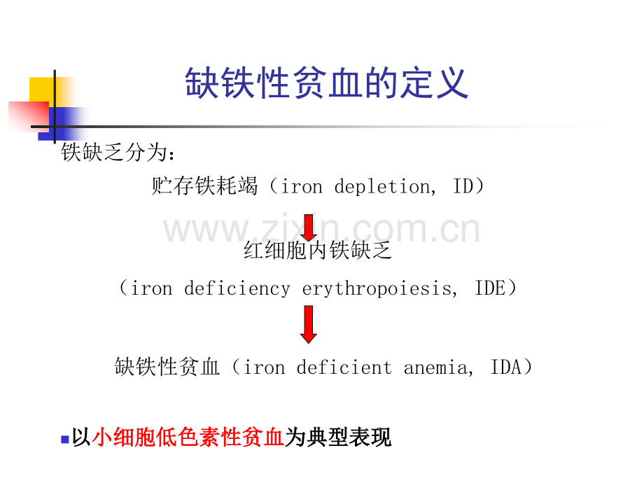 常见病缺铁性贫血的课件上课.pptx_第3页