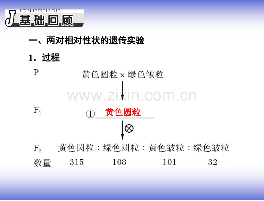 孟德尔的豌豆杂交实验(二).pptx_第2页