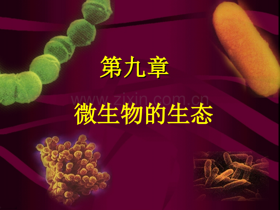 微生物的生态工业微生物学.pptx_第1页