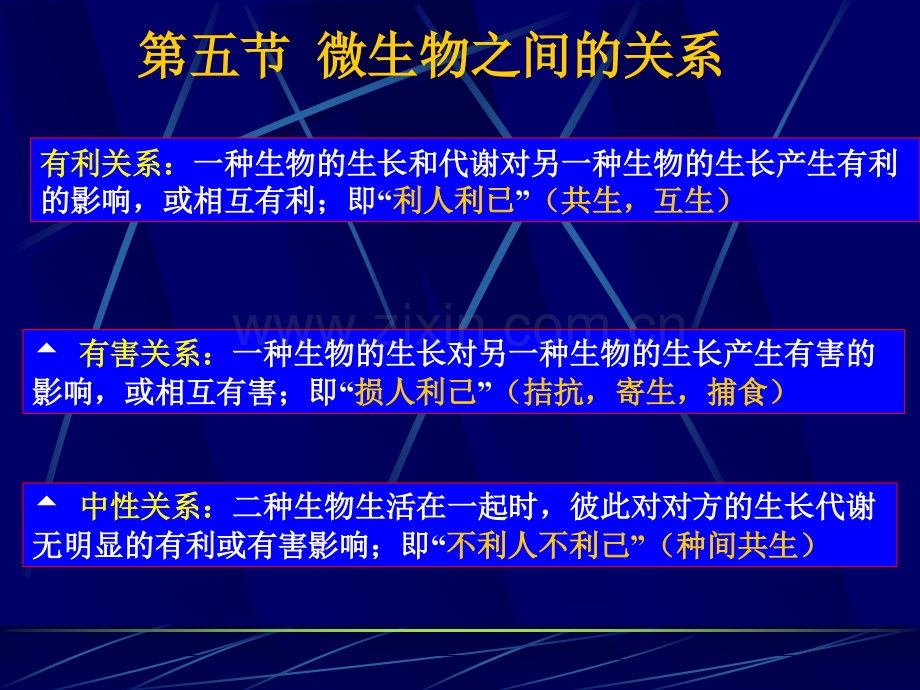 微生物的生态工业微生物学.pptx_第3页