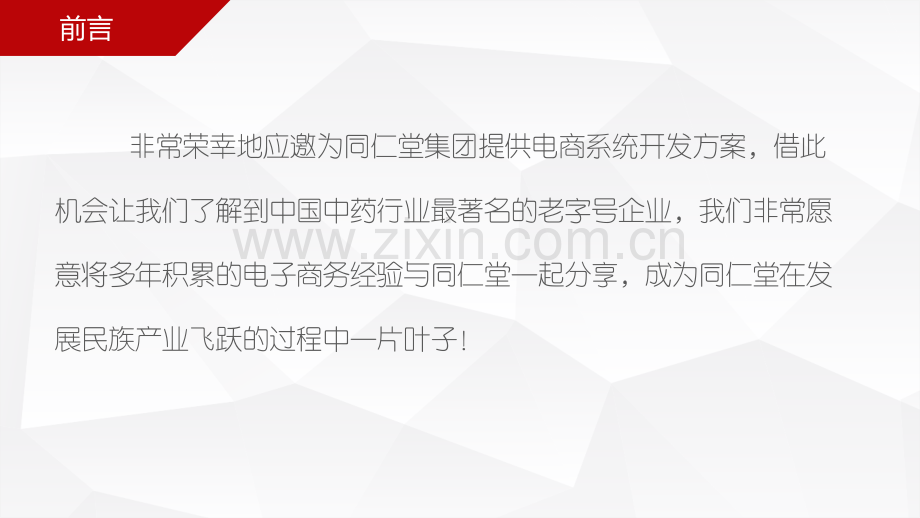 同仁堂电商解决方案.pptx_第1页