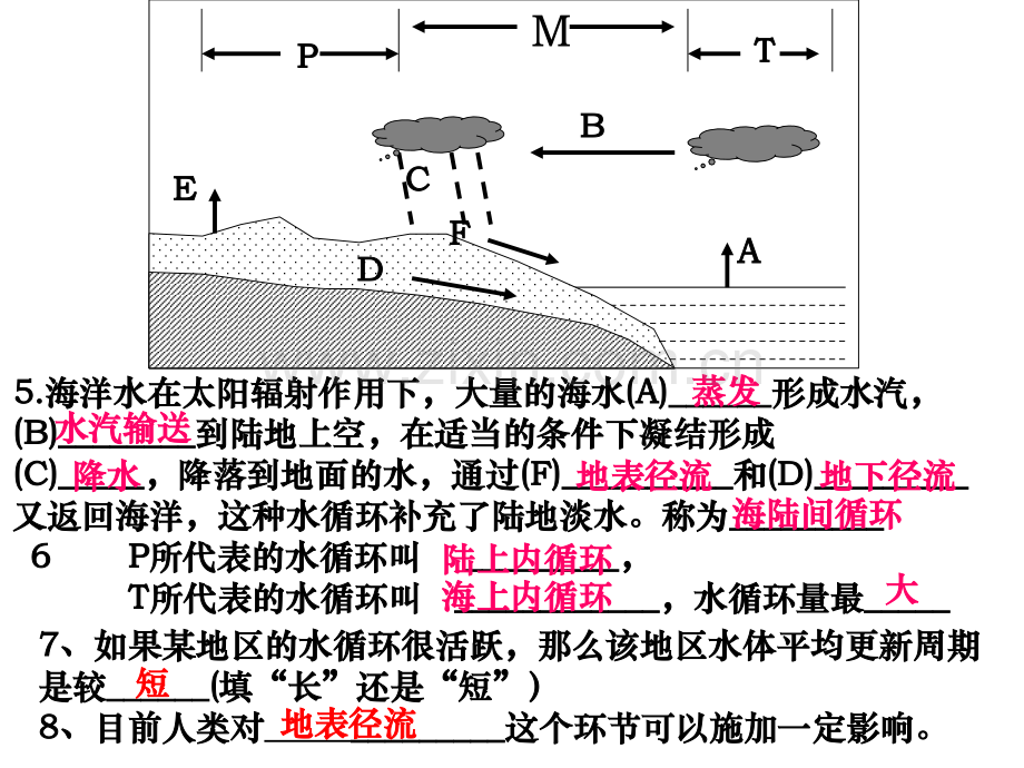 初中八年级上科学全册复习.pptx_第2页