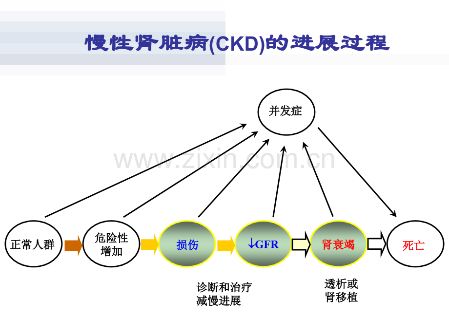 慢性肾脏病的治疗与监测.pptx_第2页