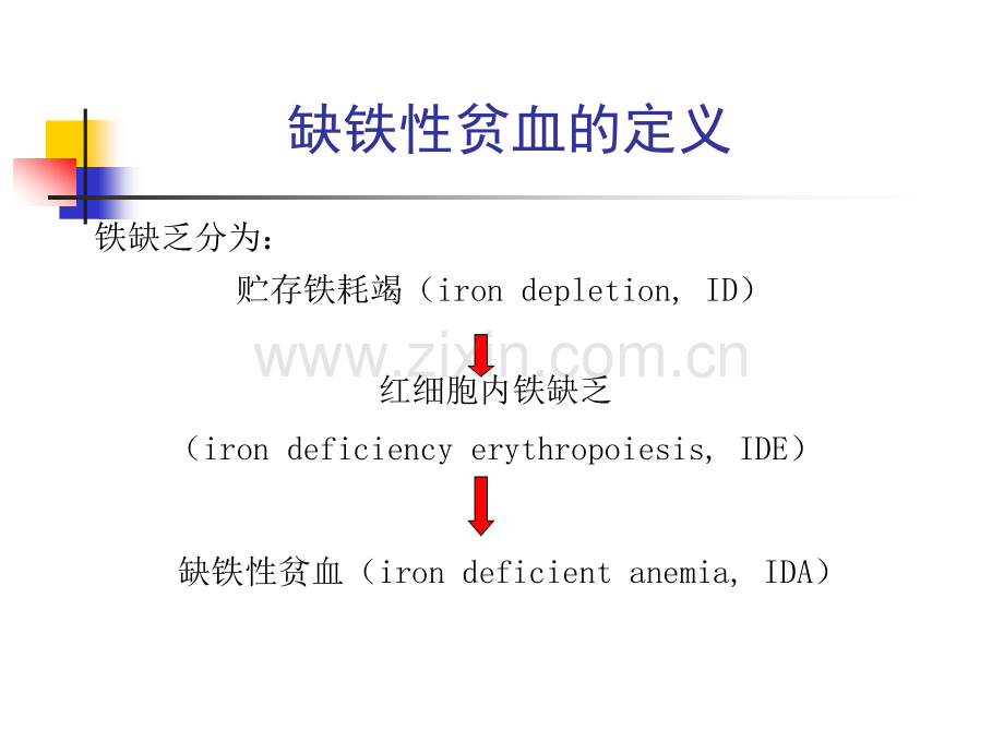 常见病缺铁性贫血件.pptx_第3页