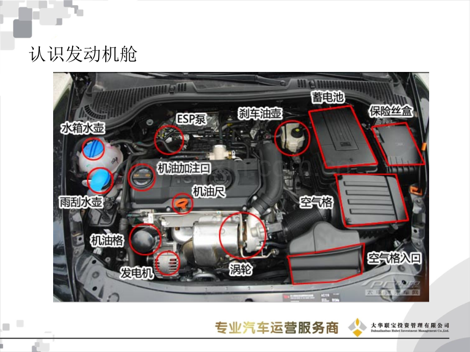 发动机舱保养.pptx_第1页