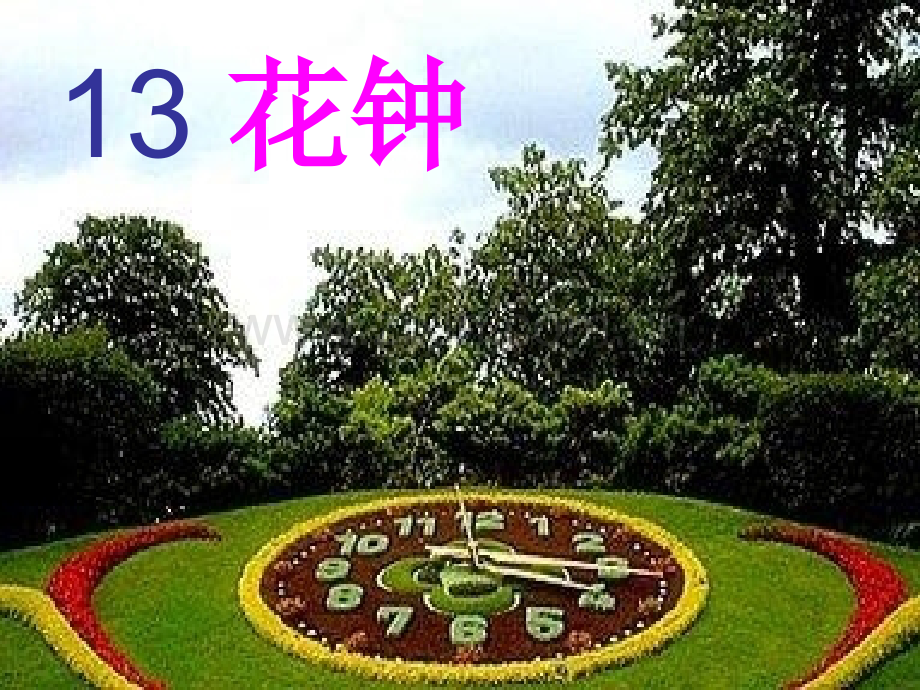 小学语文三年级上册花钟5.pptx_第1页