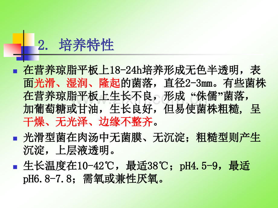 微生物检测2.pptx_第3页