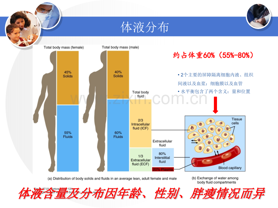 液体治疗思考.pptx_第3页