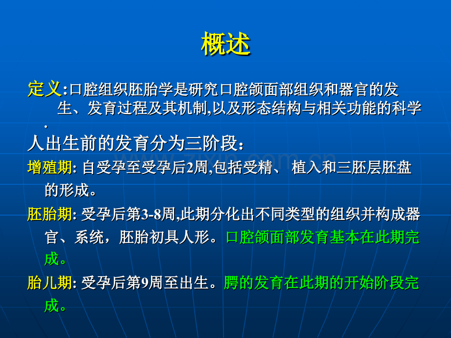 口腔颌面部发育崔海庆.pptx_第3页