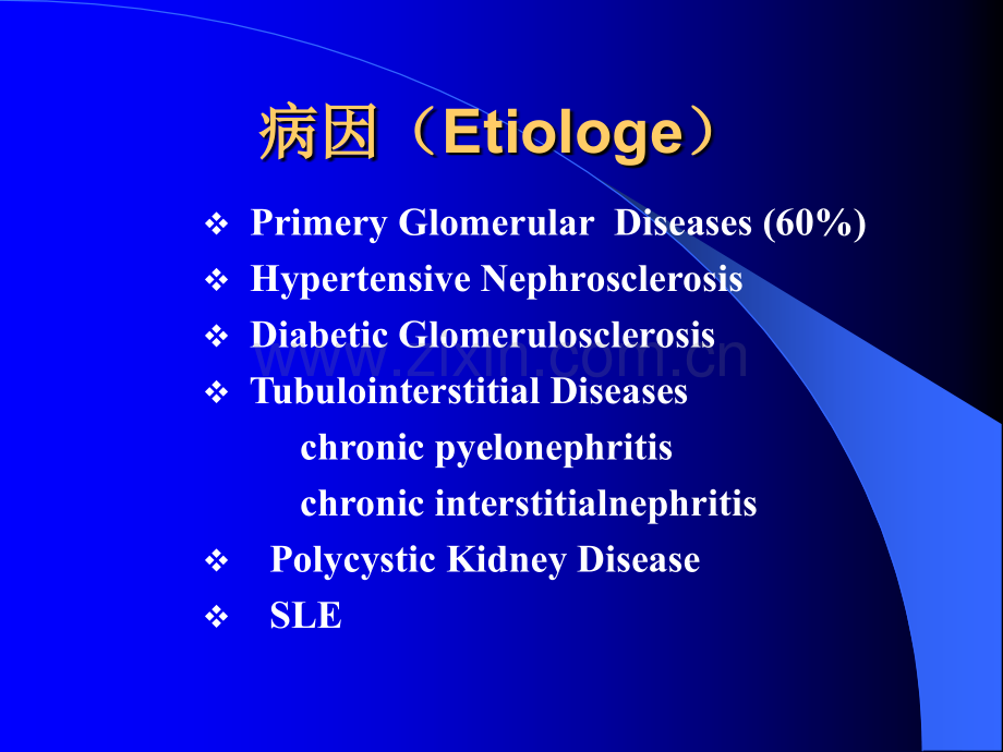 慢性肾衰竭4.pptx_第2页