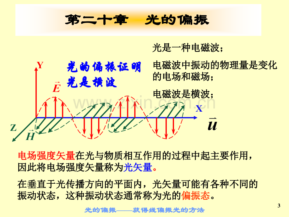 大学物理下24光的偏振.pptx_第2页