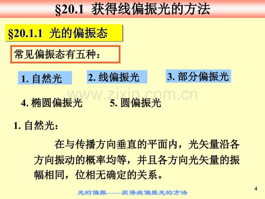 大学物理下24光的偏振.pptx_第3页