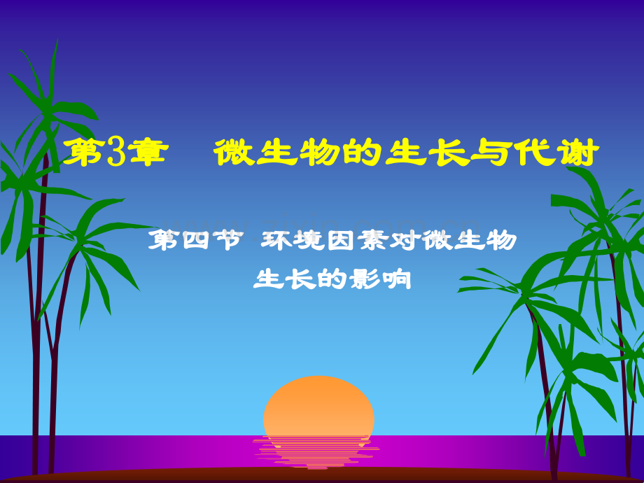 微生物的生长与代谢.pptx_第2页