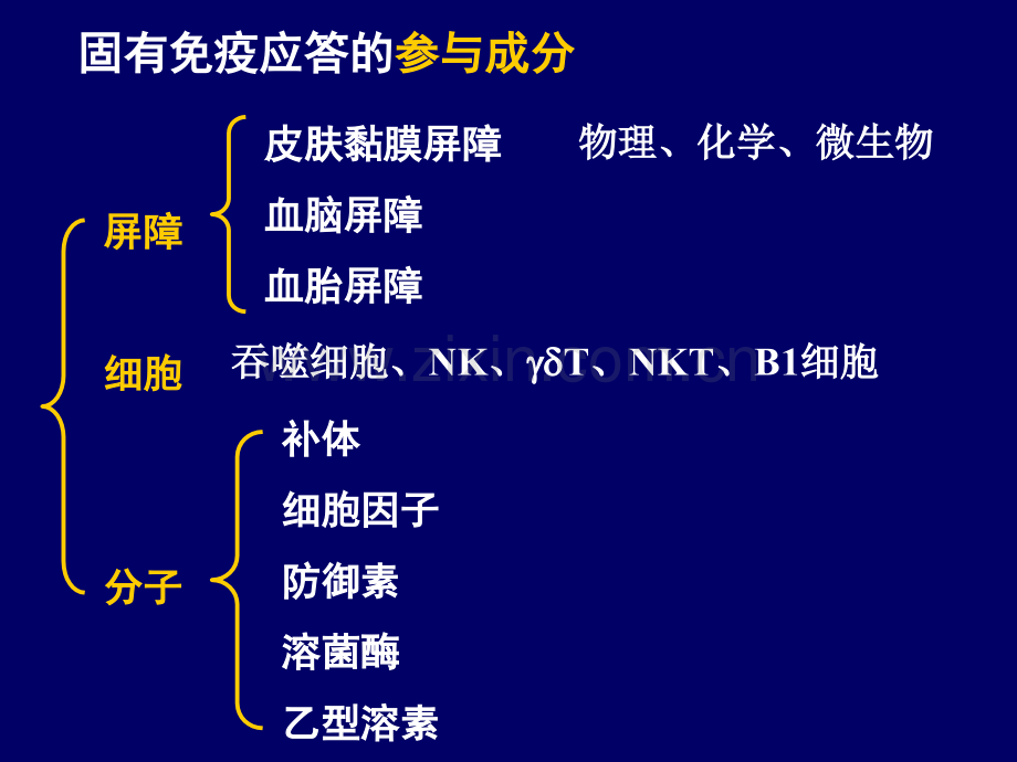 固有免疫系统及其应答.pptx_第1页