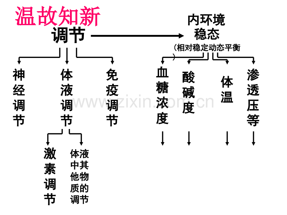 动物的激素调节一轮复习.pptx_第1页