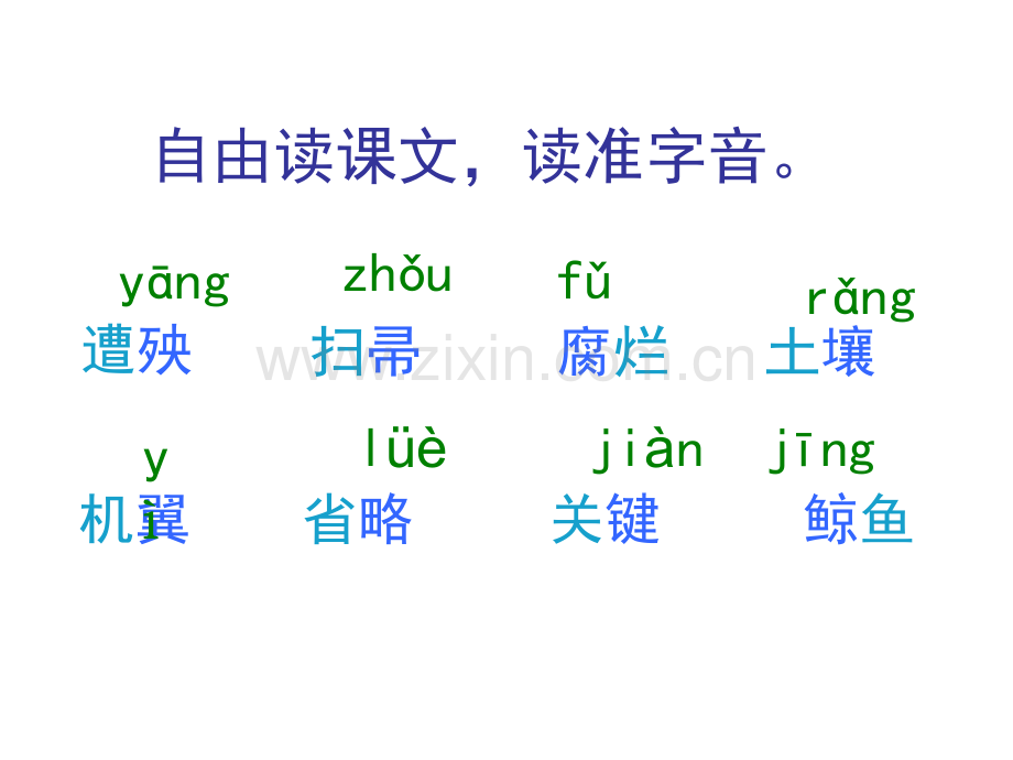 大自然的启示教学课件.pptx_第2页