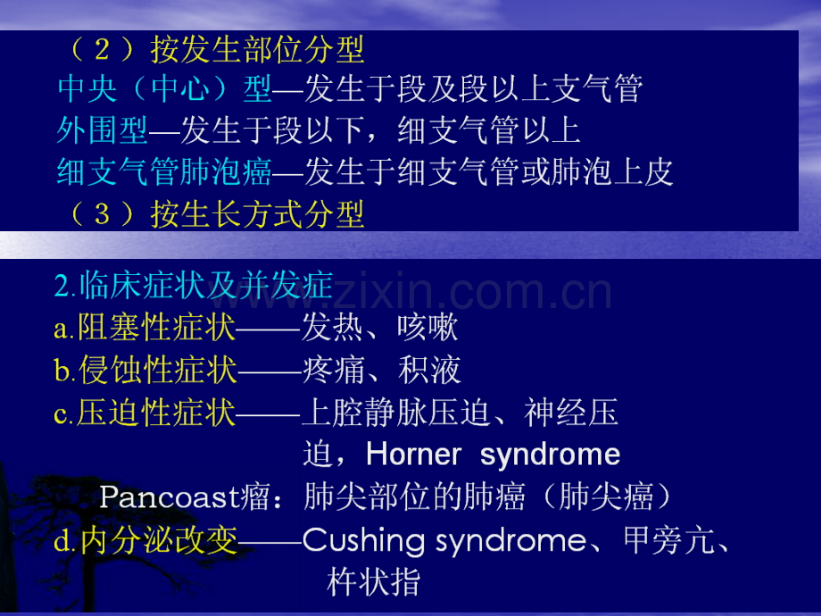 呼吸系统肿瘤x线诊断.pptx_第3页