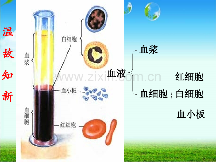 好输血与血型模板.pptx_第2页