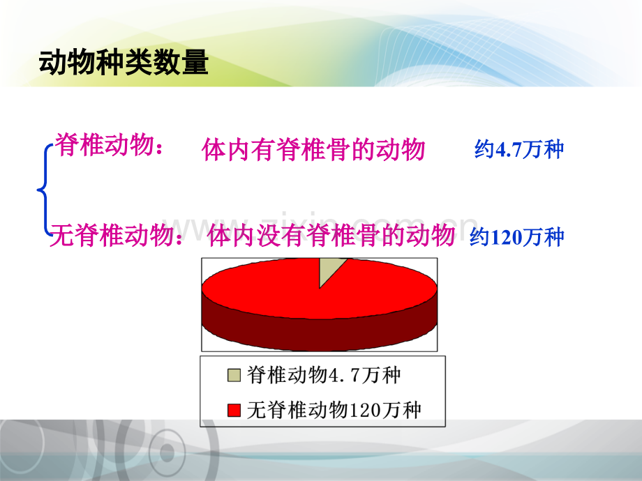 常见的无脊椎动物.pptx_第3页