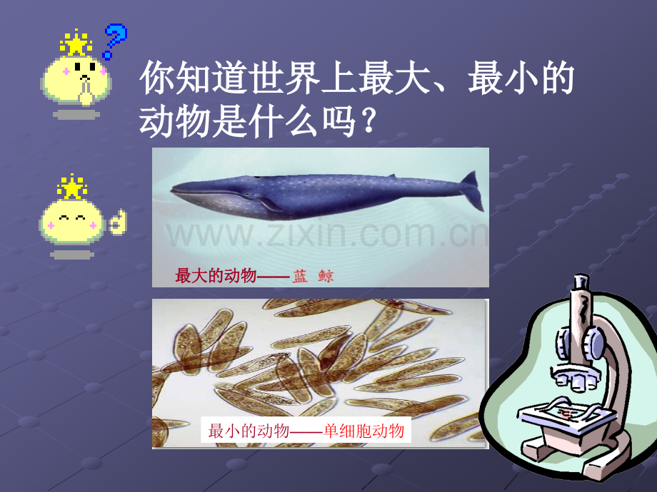 单细胞生物1.pptx_第1页