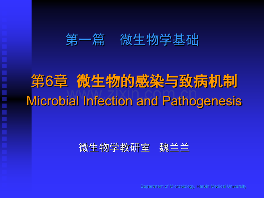 微生物的感染与致病机制.pptx_第2页